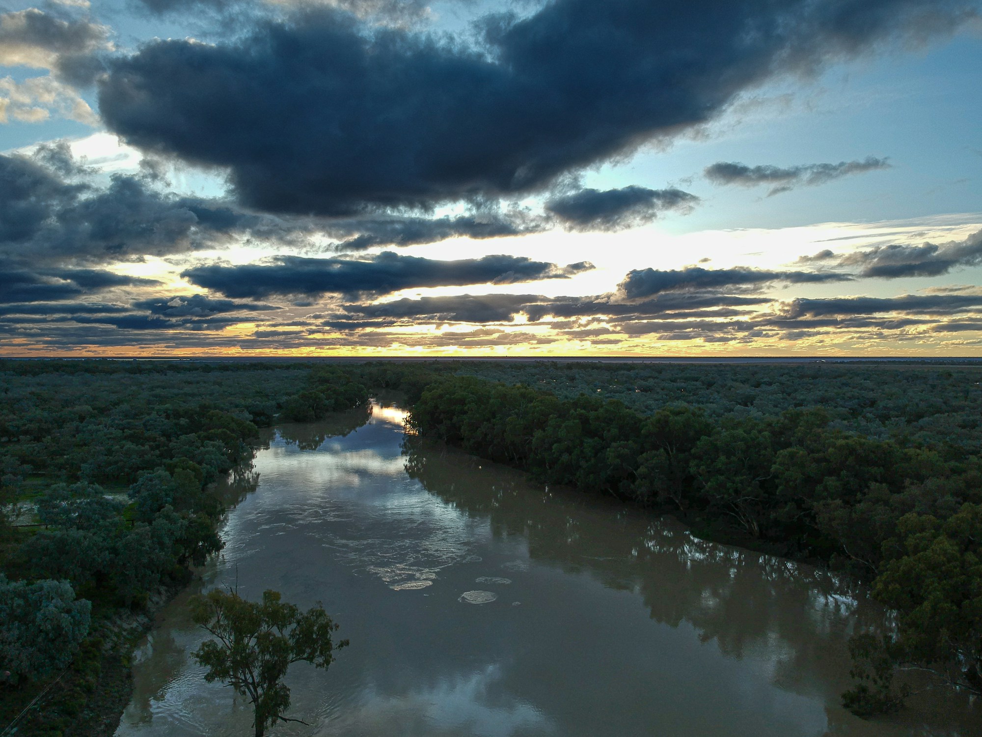 A river winding between native trees under an Australian sunset